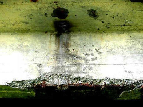 A sore site showing exposed rebar and concrete spalling under a bridge draining hole  