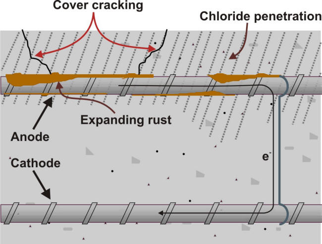 Corrosion Cell in Concrete