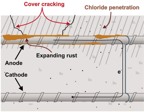 Model of reinforced concrete corrosion 