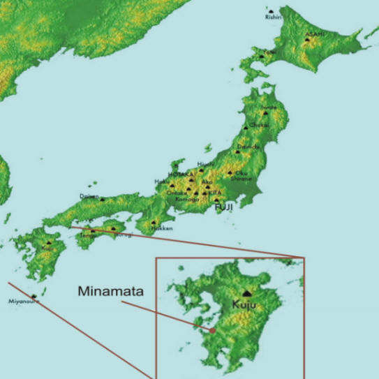 The village of Minamata is located on the west coast of southern Kyushu, in Japan