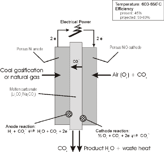Molten carbonate fuel cell