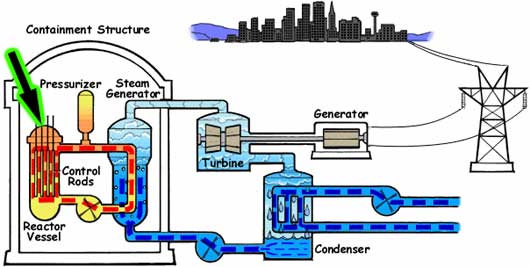 The reactor vessel head is the dome-shaped upper portion of the carbon steel vessel housing the reactor core