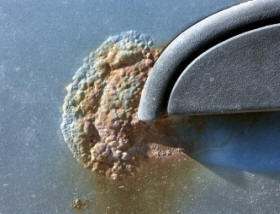 Corrosion blister around a car handle