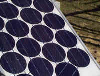 Single crystal solar cells in panel 